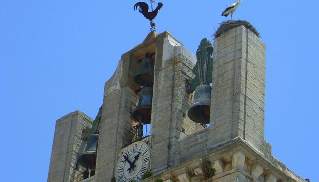 Tour privato a piedi di Faro - Foto 3